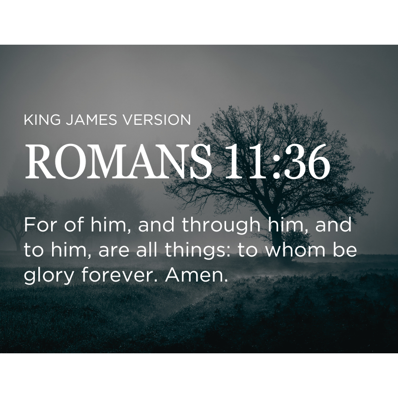 ROMANS 11:36
KING JAMES VERSION

For of him, and through him, and to him, are all things: to whom be glory forever. Amen.

#TheJoyInServingGod
#MCGICares