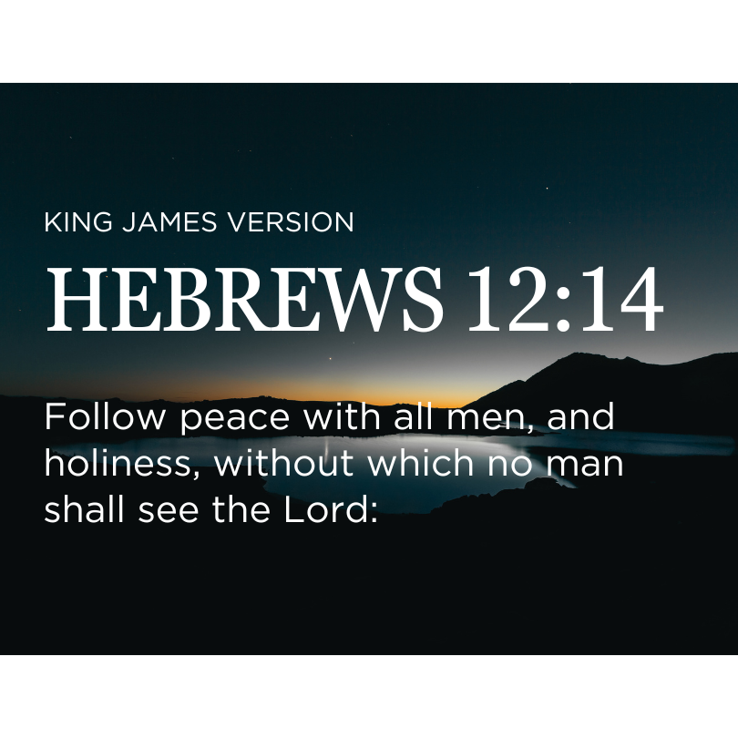 HEBREWS 12:14
KING JAMES VERSION

Follow peace with all men, and holiness, without which no man shall see the Lord:

#TheJoyInServingGod
#MCGICares