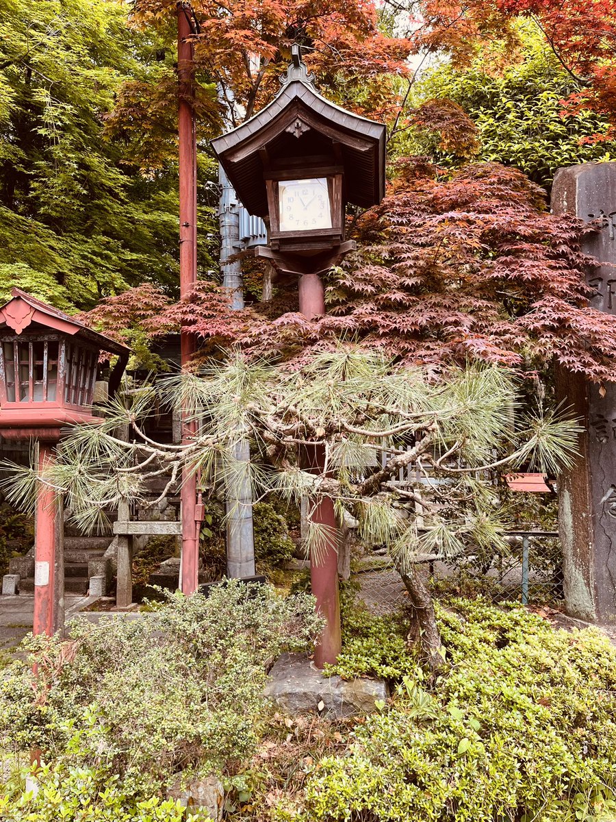 NotADimeAgain's tweet photo. #urakuengarden #Hotel_Indigo_Inuyama #JapanSpring2024 #itpaystobediamond #ihghotels #ihgdiamond Great to have free entry on one of Japan’s national treasure. Be a pampered guest @hotelindigo Inuyama Urakuen Garden. @IHGOneRewards @ https://t.co/EtBEdpigT4