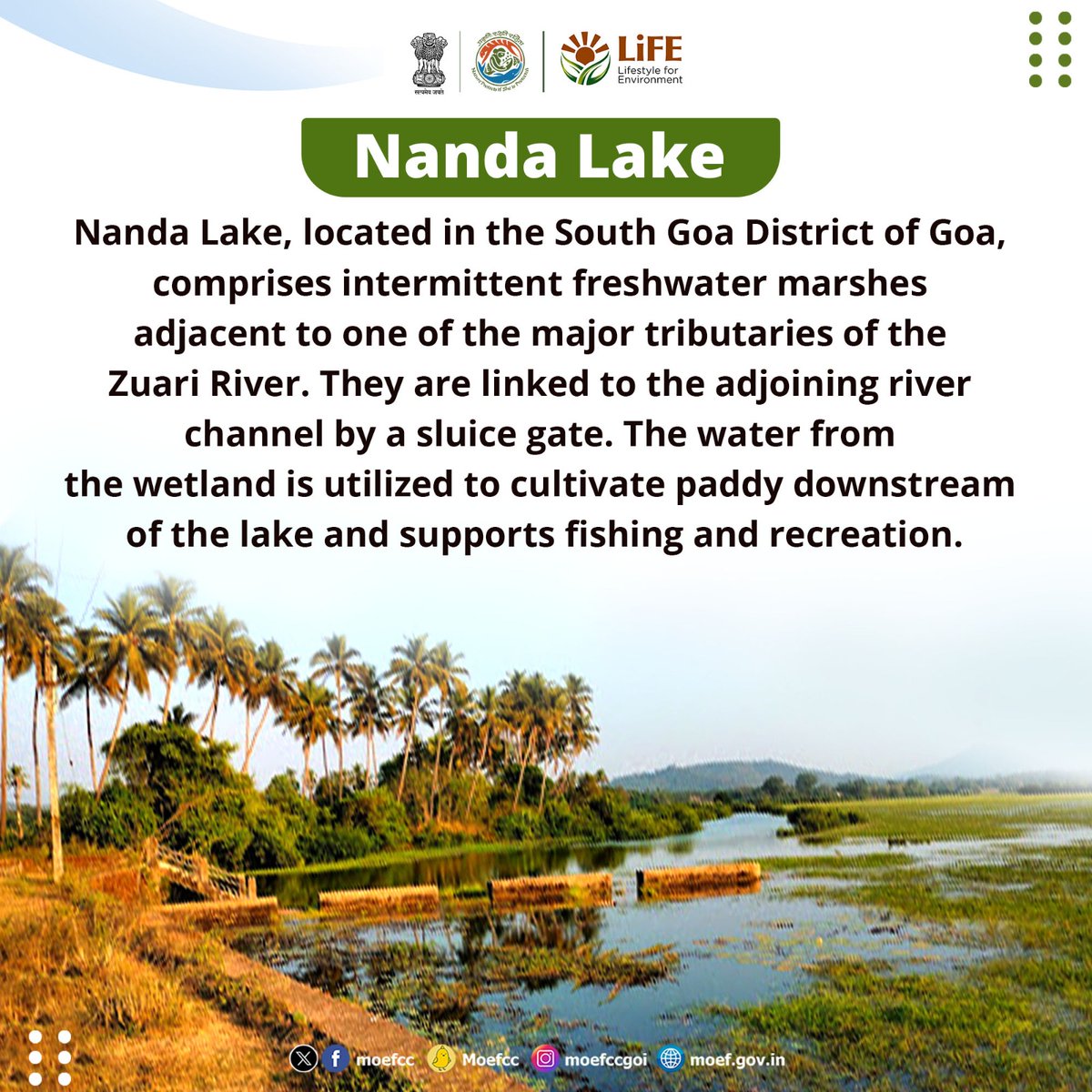 Discovering India's Ramsar Sites

Day 79: Nanda Lake

From wetlands to wildlife, each site is a unique haven for nature. Let's celebrate and safeguard these vital ecosystems together!

#RamsarSites #MissionLiFE #ProPlanetPeople