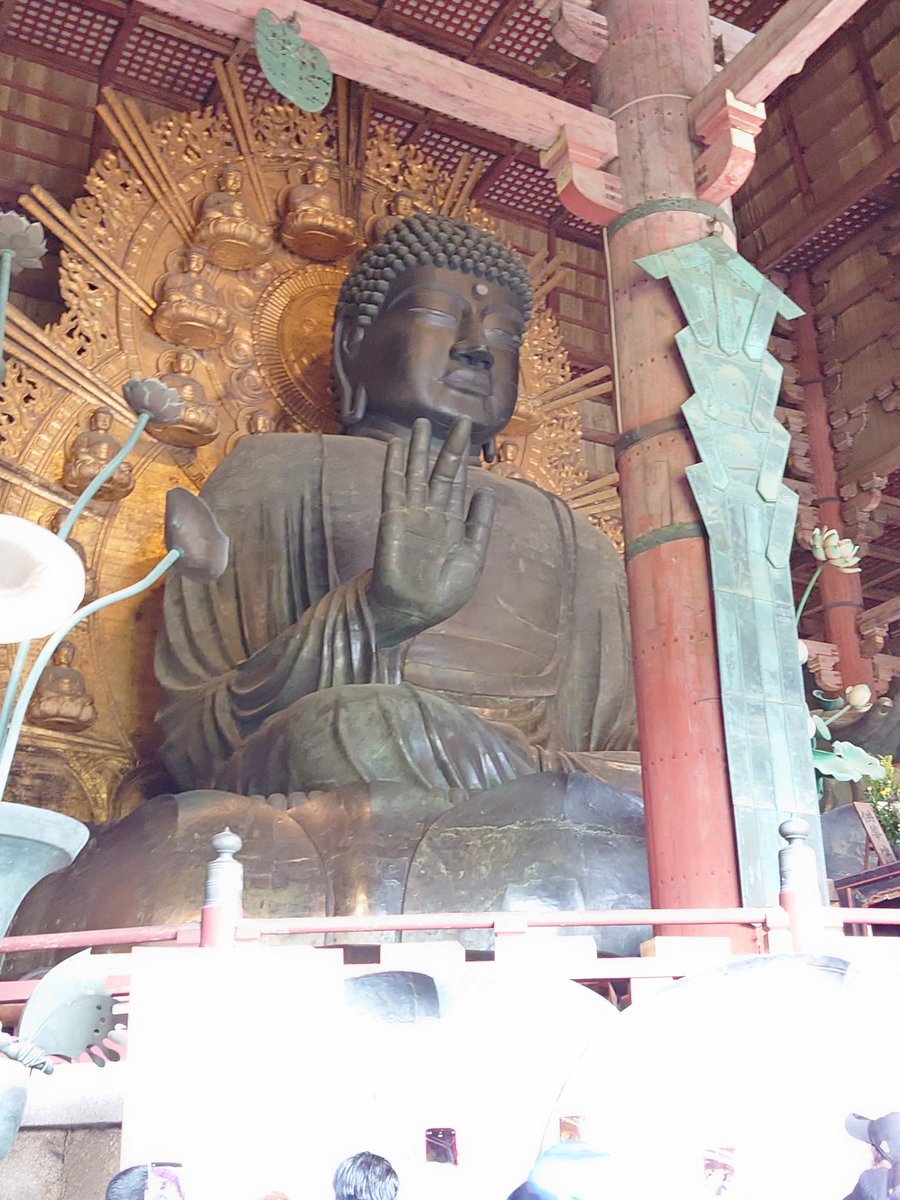 ryudo1101's tweet photo. 東大寺の大仏。
イメージよりずいぶん大きいね。 https://t.co/upPxK2JJKg