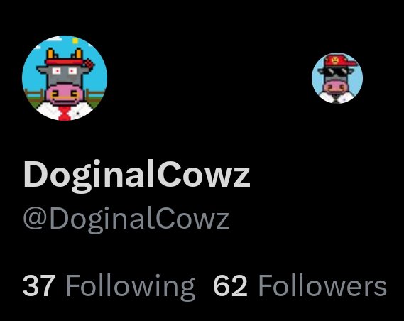 If you follow me ... 👀 Or you have Cowz ..🐮 You should also be following @DoginalCowz .. The Cowz account shouldn't be sitting at 62 followers ..❤️ Let's change this..💯 I'm off to sleep, have a good night everyone 💤💤
