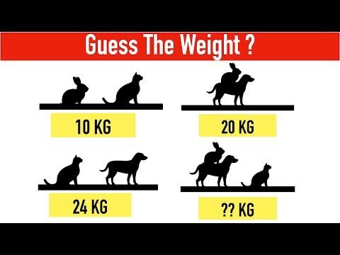 'IQ Quiz' Guess the weight?