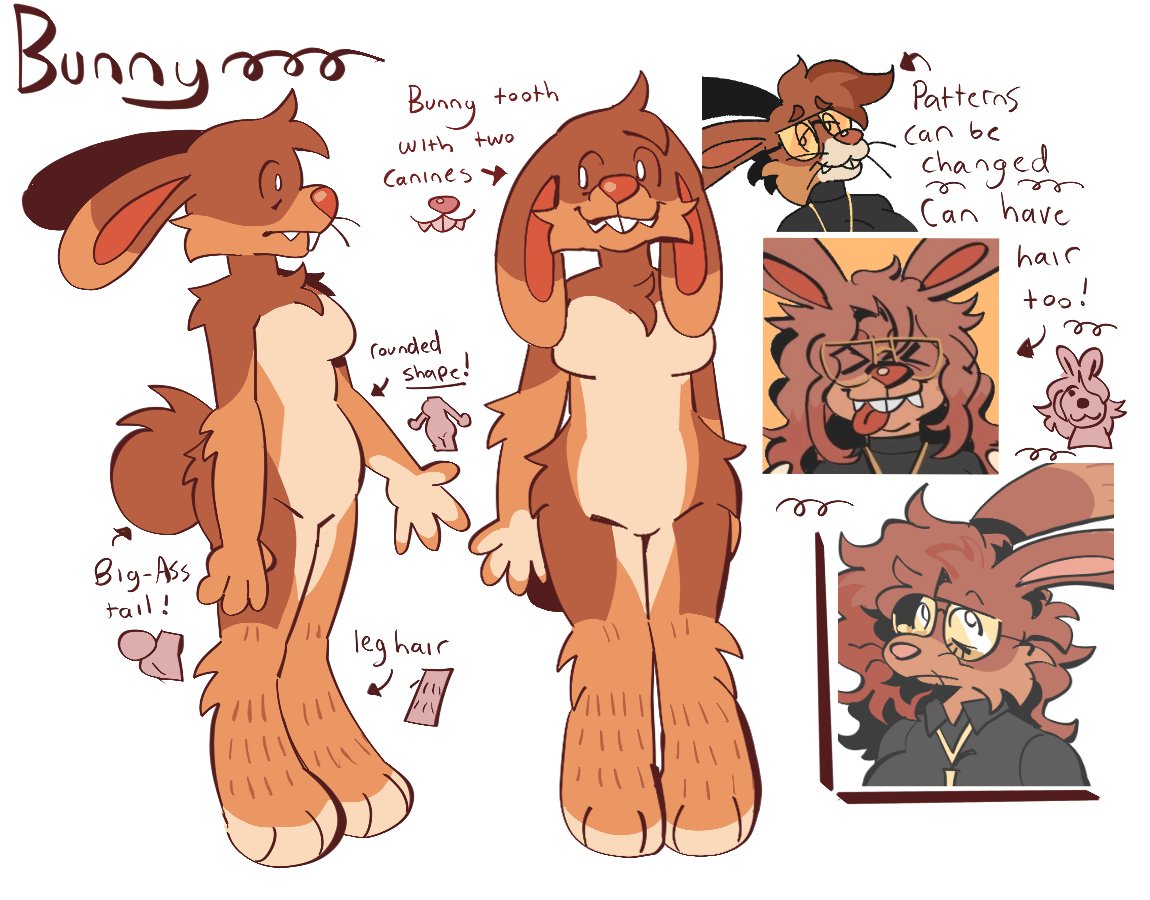 Simple bunny ref, just the basic things that seem to carry across to all iterations of them 