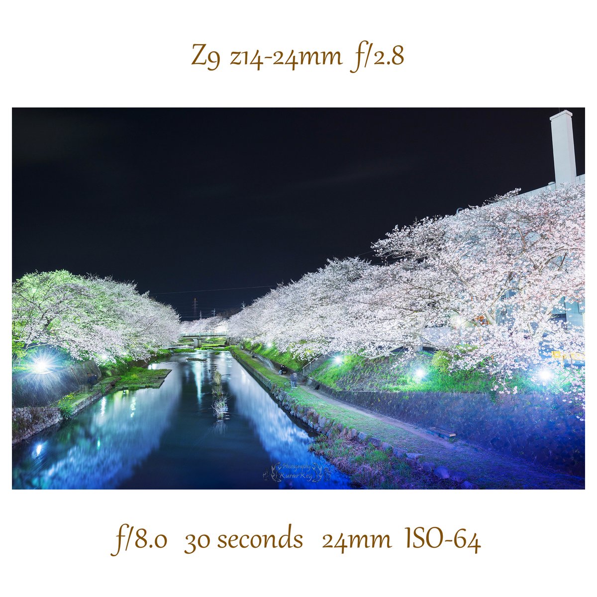 再現像 #桜 #サクラ #ソメイヨシノ #桜 #サクラ #春 #日本 #山口県 #美祢市 #自然 #厚狭川 #美祢市インスタ部 #東京カメラ部 #写真好きと繋がりたい #ファインダー越しの私の世界 #Japan #CherryBlossoms #spring #Yamaguchi #Mine #lovers_nippon #yamaguchiiitoko