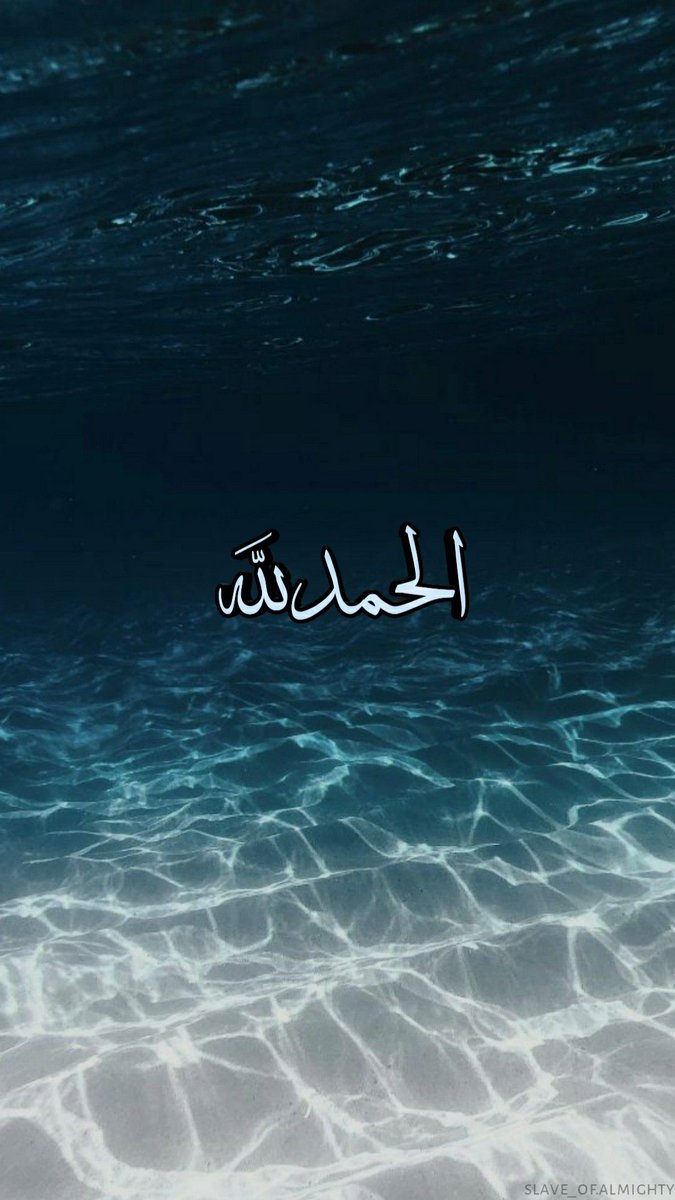 Aaqib Ali tweet media