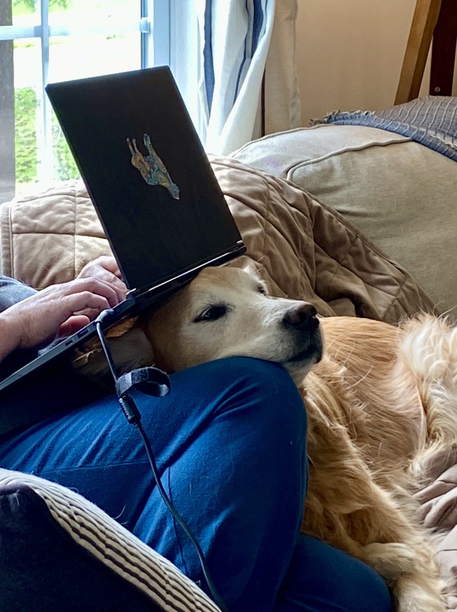 @peggyfrezon writes ABOUT dogs. Sometimes, she even writes ON TOP of them. peggyfrezon.com #dogsoftwitter #BrooksHaven #grc #dogcelebration #GoldenRetriever #author #Writer @Guideposts