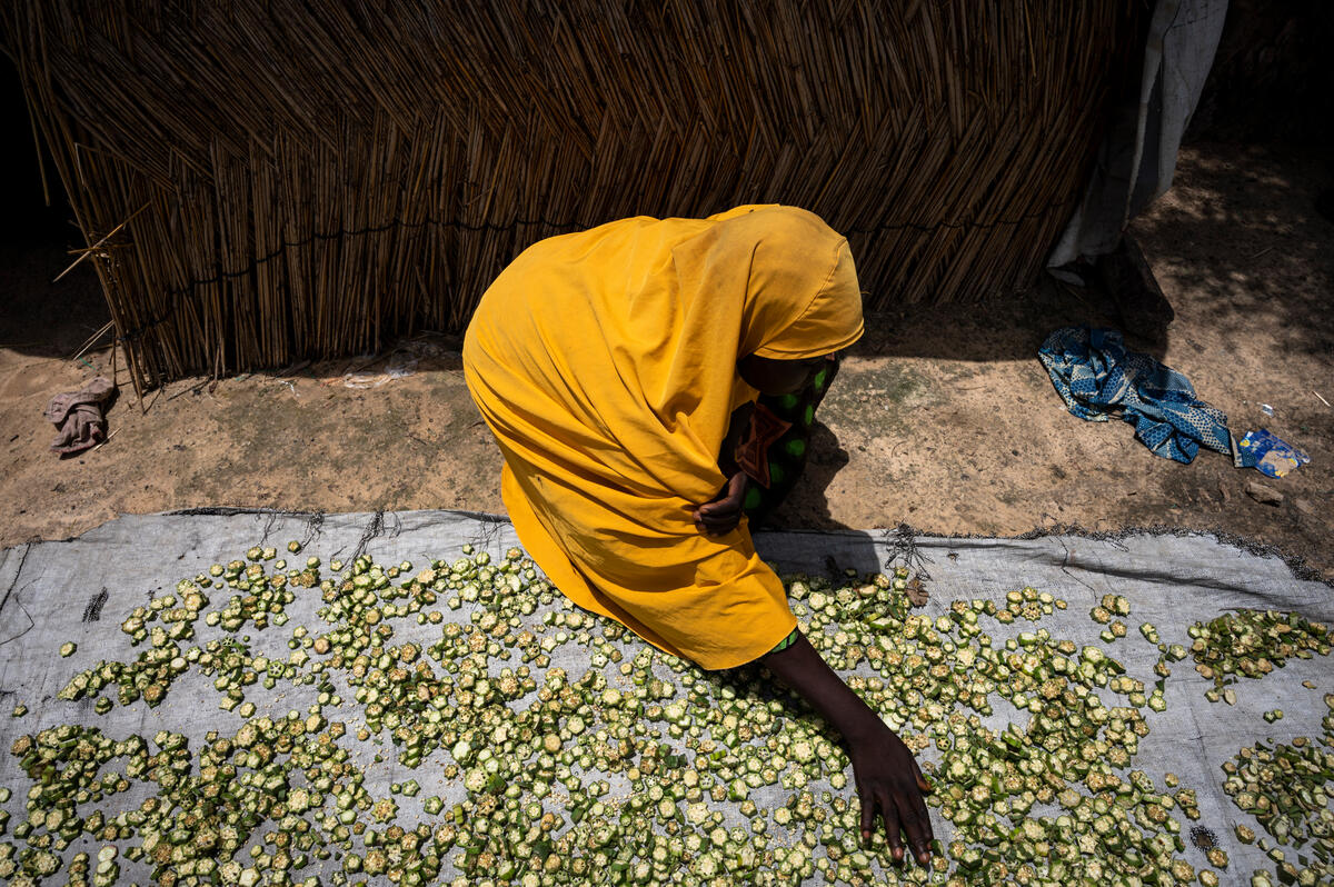 📍 #Nigeria Around 1 in 6 - 15.6 million - children are set to go hungry this year as kidnappings, conflict and rising prices push food out of reach⚠️ Urgent action must be taken to prioritise the needs of #children to stop this devastating trend and protect innocent lives.