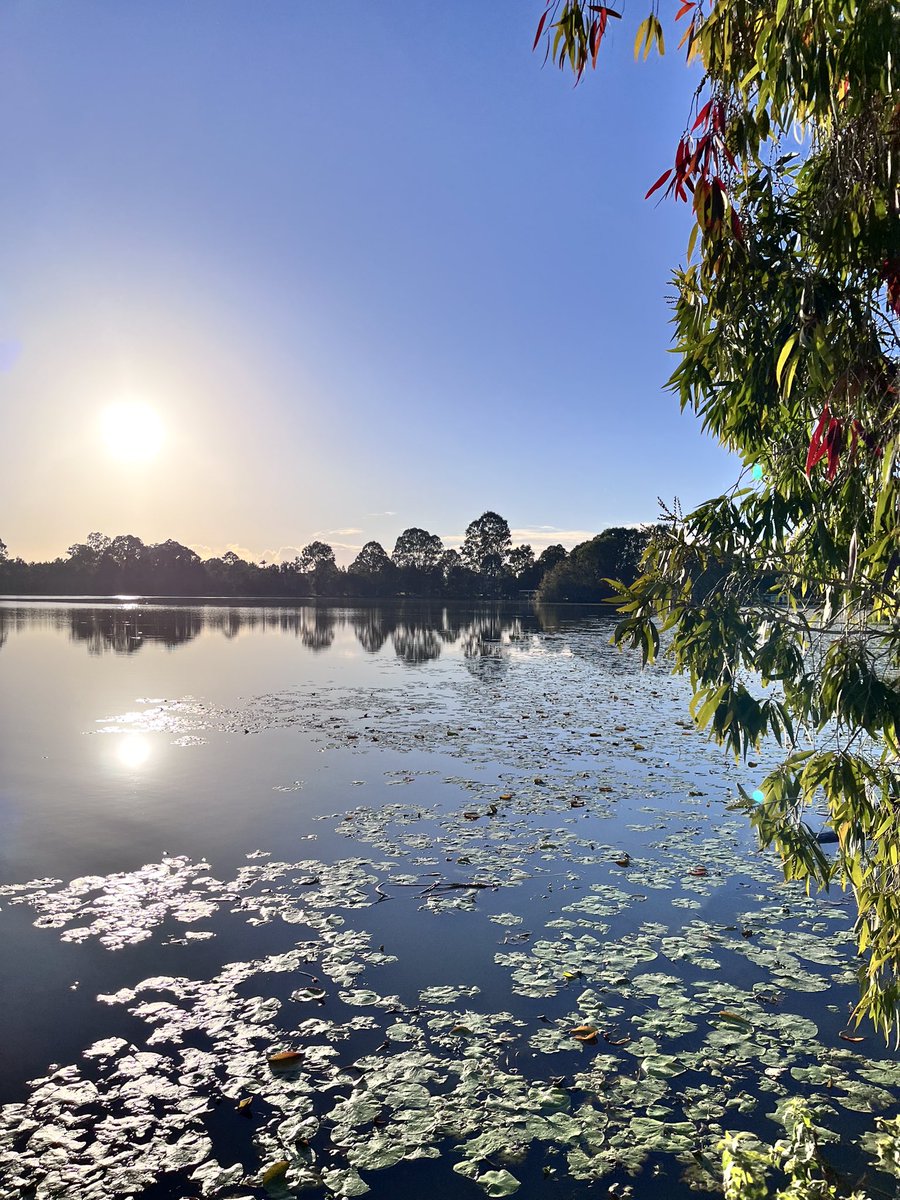 I got my #HourForEarth in this morning near home at the beautiful Tygum Lagoon for a lovely 5k walk then a Trivia Morning Tea and our team won! 🎉 Yay! 🎉 #MPC2024 #aussiepeaker #PeakerHour