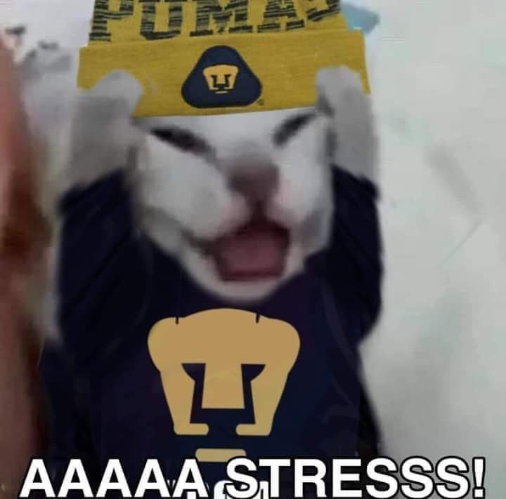 Ya hasta el Chino Huerta le reclama al árbitro que cuántas patadas le tienen que dar para que saque las tarjetas!! Árbitro HDP!!

#Pumas 
#SoyDePumas
#AzulyOro