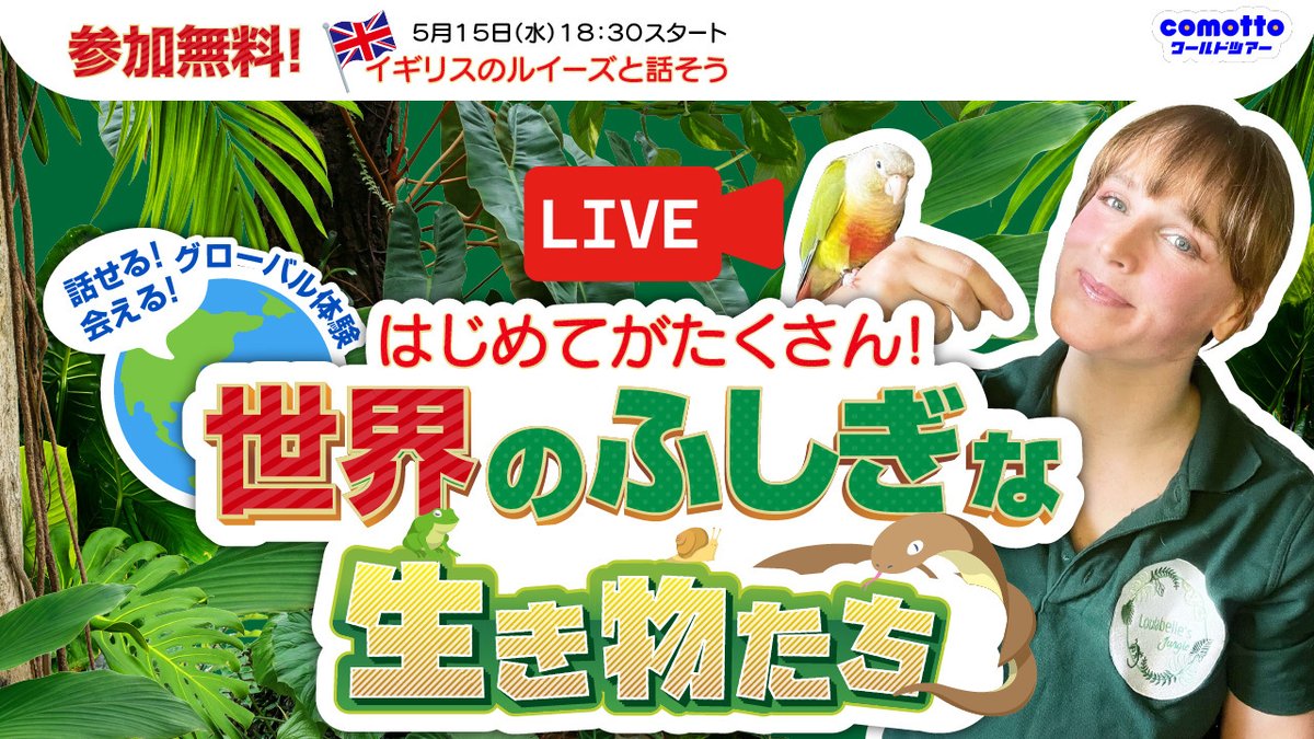 ＼🌴#comottoワールドツアー🌎／

comottoとMimmyアドベンチャーのコラボイベントを開催🙌
ワールドツアーでは、なんと現地とオンラインでつながる😮✨

年間シリーズの第一弾は《ふしぎな生き物》🦎

初回の行き先はイギリスです🇬🇧

👇グローバルな体験してみませんか？
spr.ly/6010baCt2