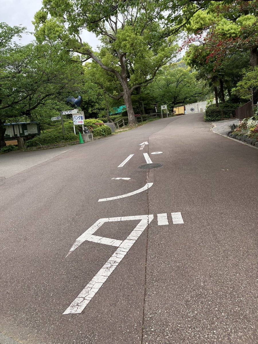 2️⃣「1人心の追悼式🐼」

まず灘駅の　#ありがとうタンタン　で泣き😭
園に着いて涙止まらず😭

パンダ館入り、泣いた泣いた😭
込み上げる思い。
溢れる想い。
泣いたねぇ。

#王子動物園
#タンタン
#ありがとうタンタン
#タンタンありがとう