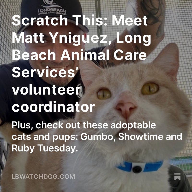 Kate Karp: For many months, Long Beach Animal Care Services staff were deep in recruitment mode to fill the position of volunteer coordinator. They finally found their candidate in Matt Yniguez. Read it on the Watchdog: lbwatchdog.com/p/scratch-this…