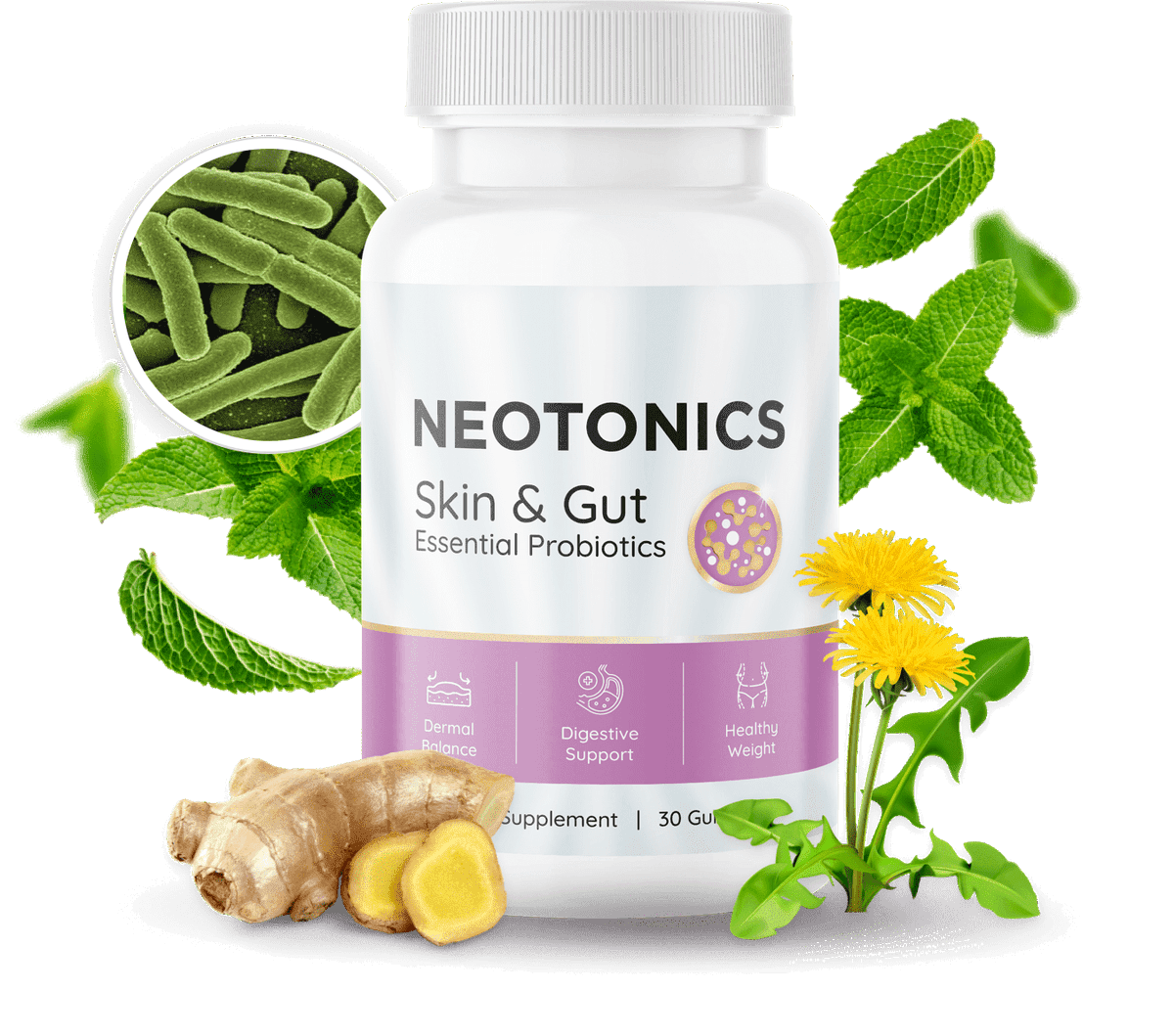 Discover Neotonics: The Ultimate Skin and Gut Health Support Supplement

neotonices.com

Unlock the potential of Neotonics, a holistic supplement supporting skin and gut health. 

#Neotonics #SkinHealth #GutHealth #NaturalSupplements #Wellness