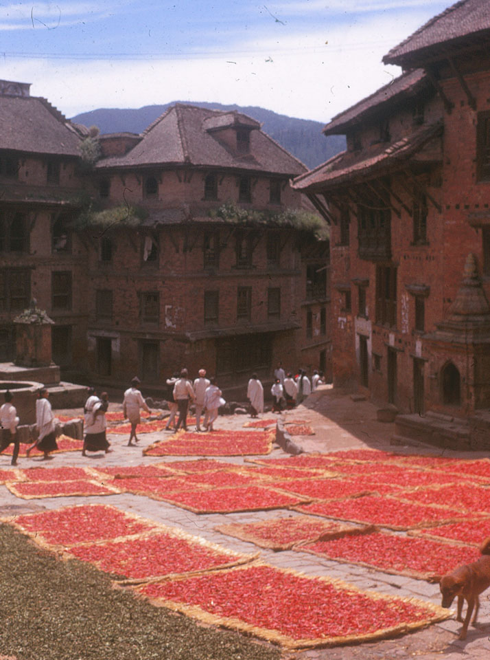 1973 Bhaktapur. Red peppers spread out to dry on mats in a street.

Photographer: Jim Coleman

Image courtesy Nepal Peace Corp Photos via @archiveofnepal

Explore: archivenepal.org/nepalpeacecorp

#archives #archivenepal #nepalihistory #digitization #nepalpeacecorps #peacecorpsnepal