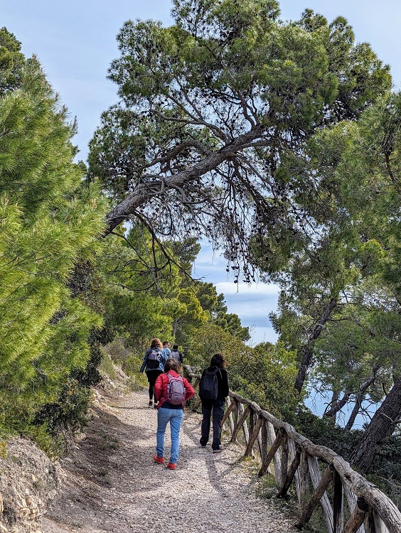 #Apulien - #Gargano: auf dem Wanderweg Sentiero #Natura, zwischen #Mergoli und #Vignanotica in #Mattinata @SonoitaliaInfo @ParcoGargano @garganolab2_0 @WeAreInPuglia