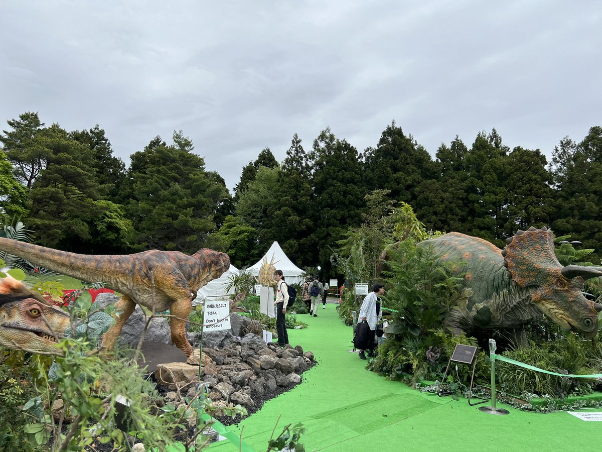 「ISPS HANDA 欧州・日本どっちが勝つかトーナメント！」

本大会は、ゴルフ以外にも楽しめるイベントが盛り沢山🦖

#ロボット恐竜コーナー や、 #お化け屋敷 などお子さまも喜ぶイベントが無料で楽しめます🙌
お化け屋敷は連日大行列👻

託児所もあるので、小さなお子様を連れてのご来場も安心です🍼