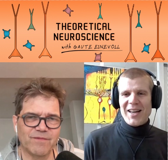 Episode #11 in #TheoreticalNeurosciencePodcast: On synaptic learning rules for spiking neurons – with Friedemann Zenke @hisspikeness theoreticalneuroscience.no/thn11 How can we do supervised learning of spiking networks? And how can neurons self-supervise their learning?