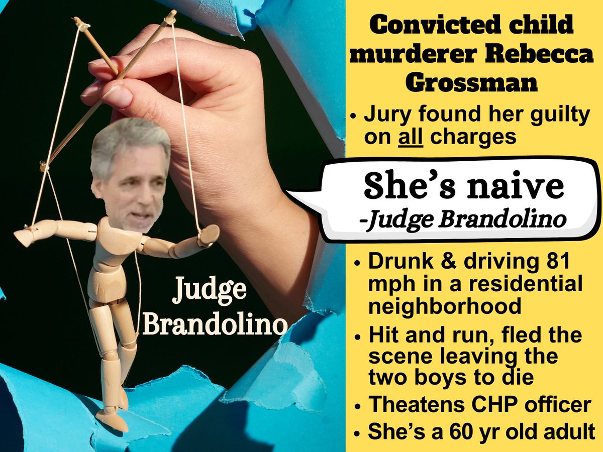 Who is pulling his strings?   
Rebecca Grossman is not naive.  She's a 60 year old adult, armed with over 10 attorneys and a wealthy husband. She lies and manipulates to get what she wants.  #JusticeforMarkandJacob #RebecaGrossman #grossmanburncenter #drpetergrossman #losangeles