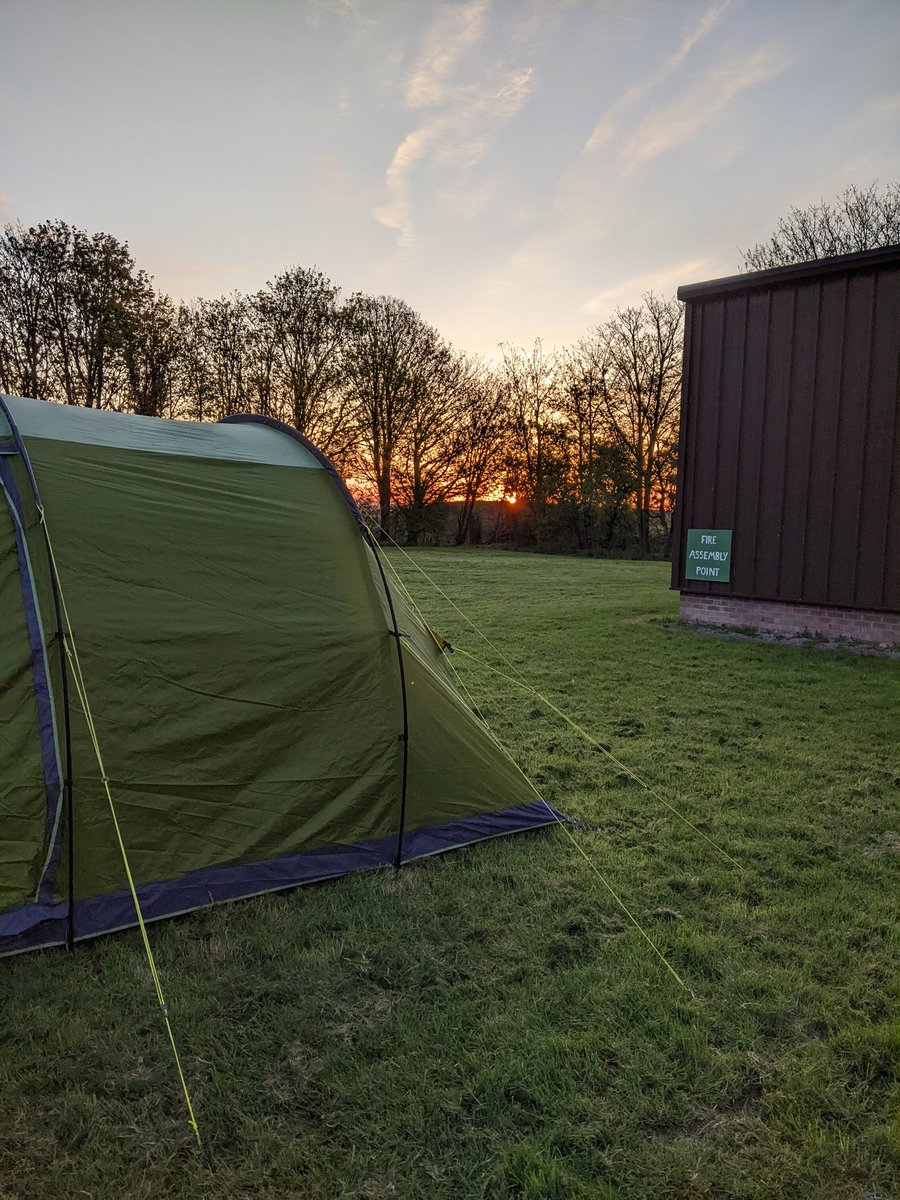 What an amazing dawn chorus 🐦‍⬛ more amazingly - most of the Cubs slept through it.