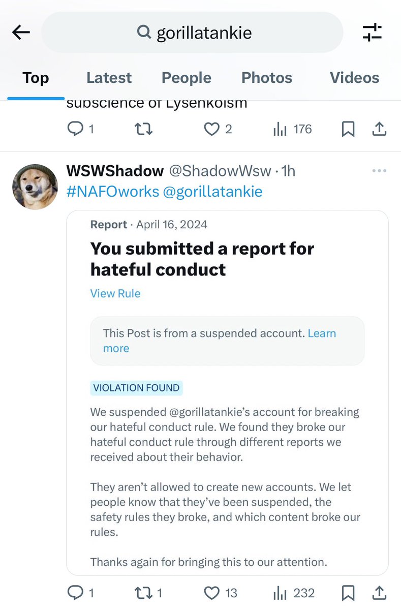 commandertankie's tweet image. I remember this guy's account. It's a damn shame what Elon allowed NAFO to do to him.