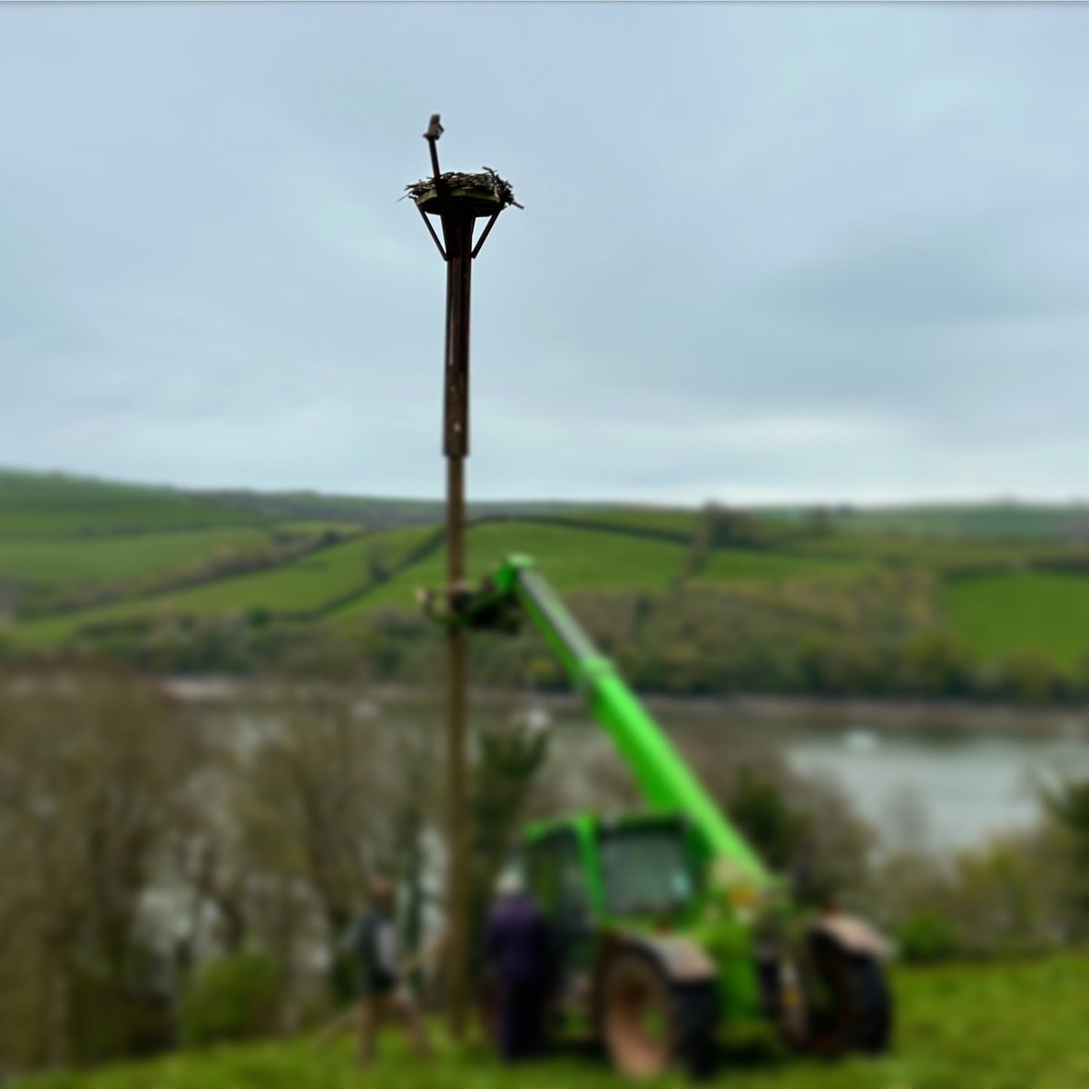 Build it and they will come…. Pleased to be out installing Osprey nest platforms in south Devon recently with enthusiastic land owners. #osprey #devon #wildlifeconservation #devonospreypartnership