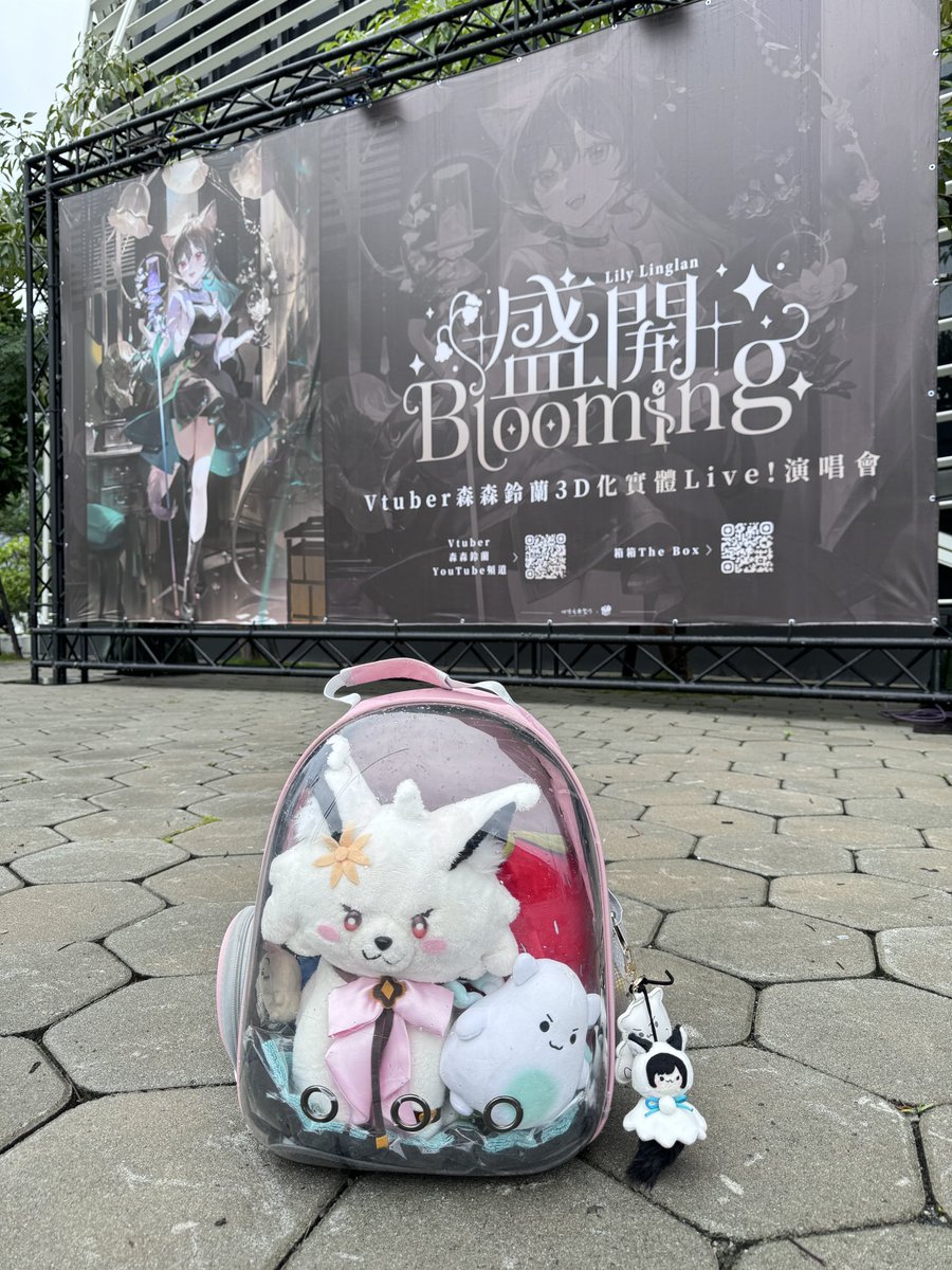 待機！！！！！

#2024盛開Blooming演唱會