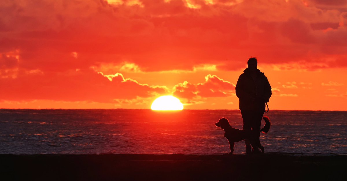 Dog walker stops on Cullercoats pier to take in the sunrise this morning, #cullercoats #culleroatsbay #sunrise #dogwalkersofinstagram #dogssunrise pic by @RaoulDixonNNP