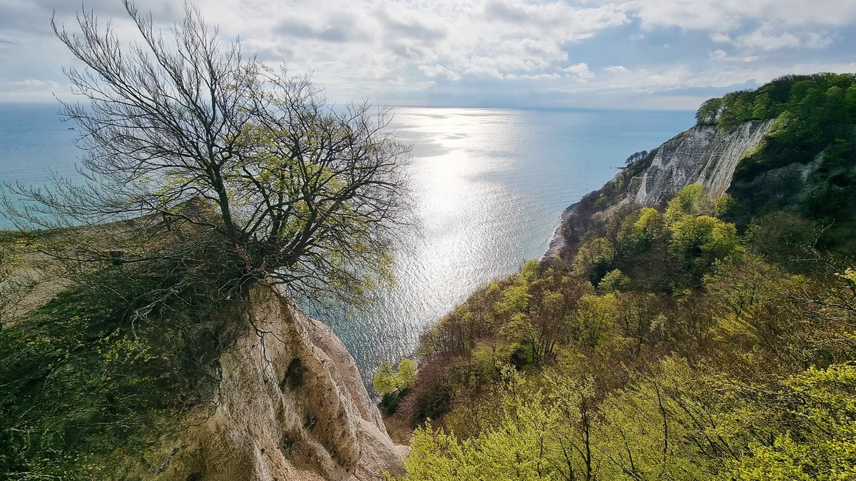 Rügen ❤️ Frühling
Auf in ein schönes Wochenende 🤩

#Ferienwohnung #urlaub #Ostsee #kreidefelsen #lastminute #auszeit #reisetipps #urlaubstipps #rügentipps #ruegentipps