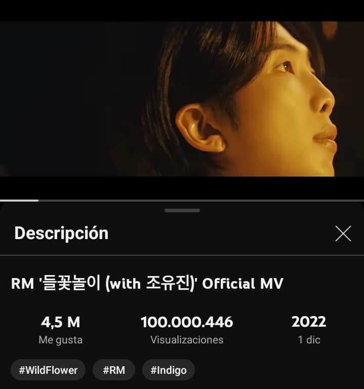 CONGRATULATIONS NAMJOON #100MForWildFlower #100MForRM