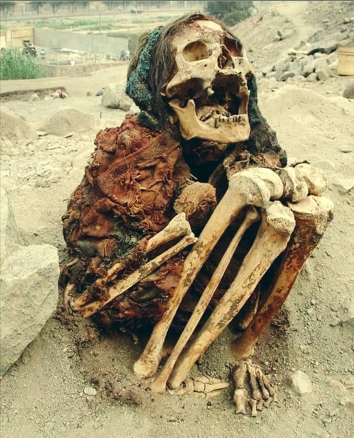 بعد مائتين سنة سيكتشف علماء الآثار أنها جثة لمواطن يمني كان ينتظر سلة غذائية