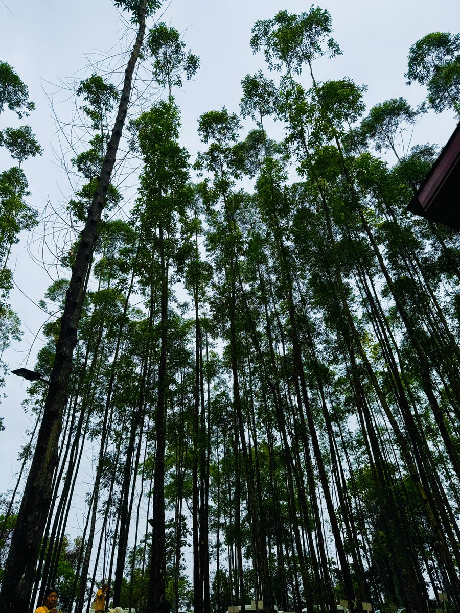 FAO Indonesia tweet media