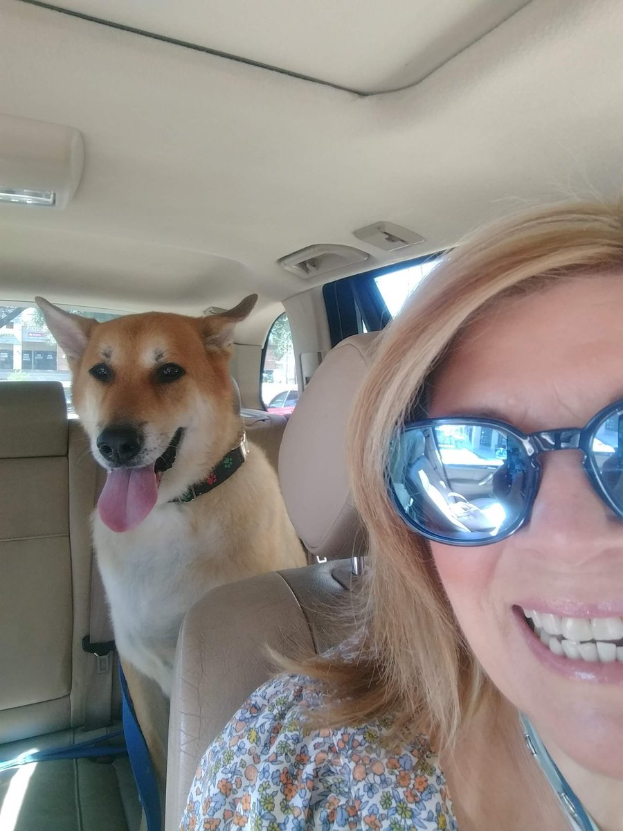 @FPWellman This is me and my grandpuppy, Bear, on our way to his oncologist. He's no longer with us due to cancer, but he was not shot. I loved this Boi so much. 💖