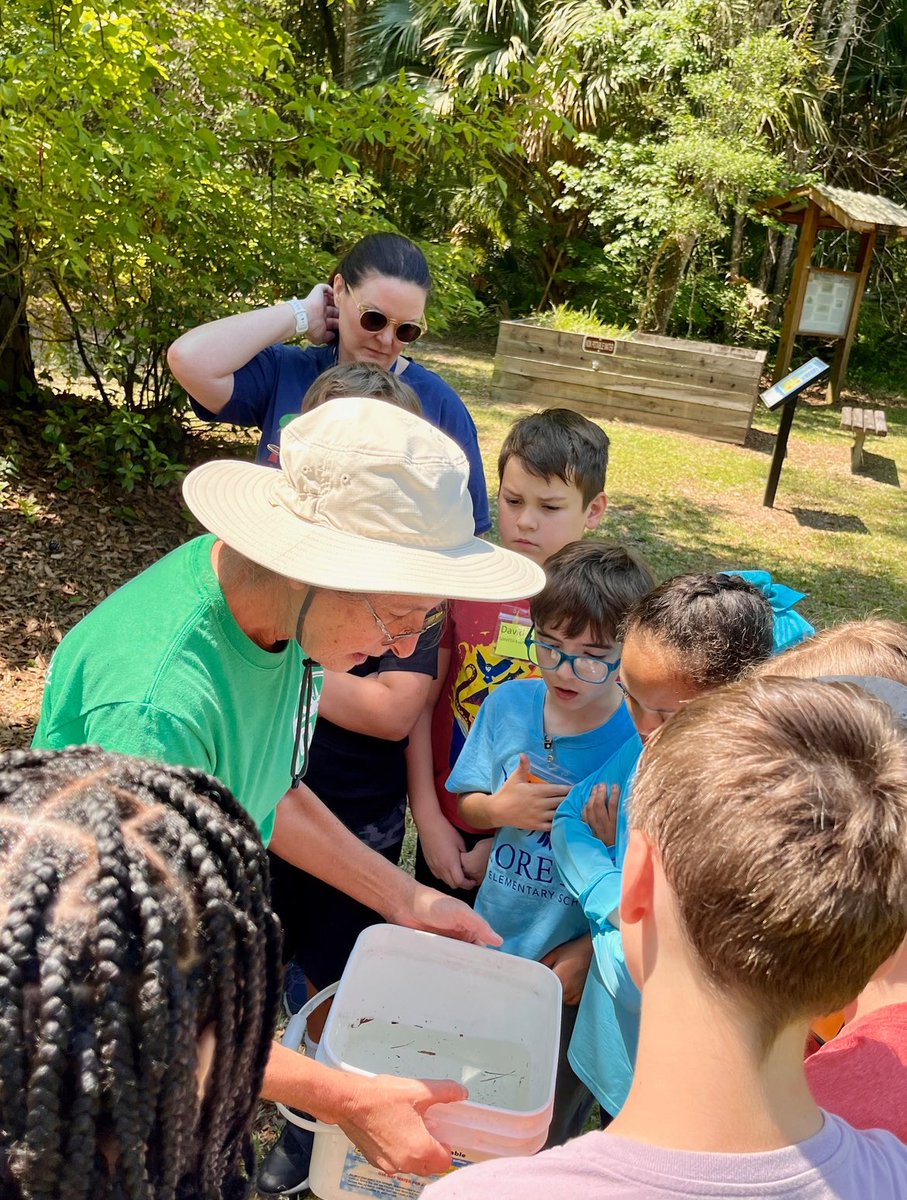 Field trip day! We went to Camp Chowenwaw, a former Girl Scout camp that opened in 1932. It's now a public park and the county runs educational programs. Today we learned about some native pond insects. They came back even more excited to get started on their insect reports!