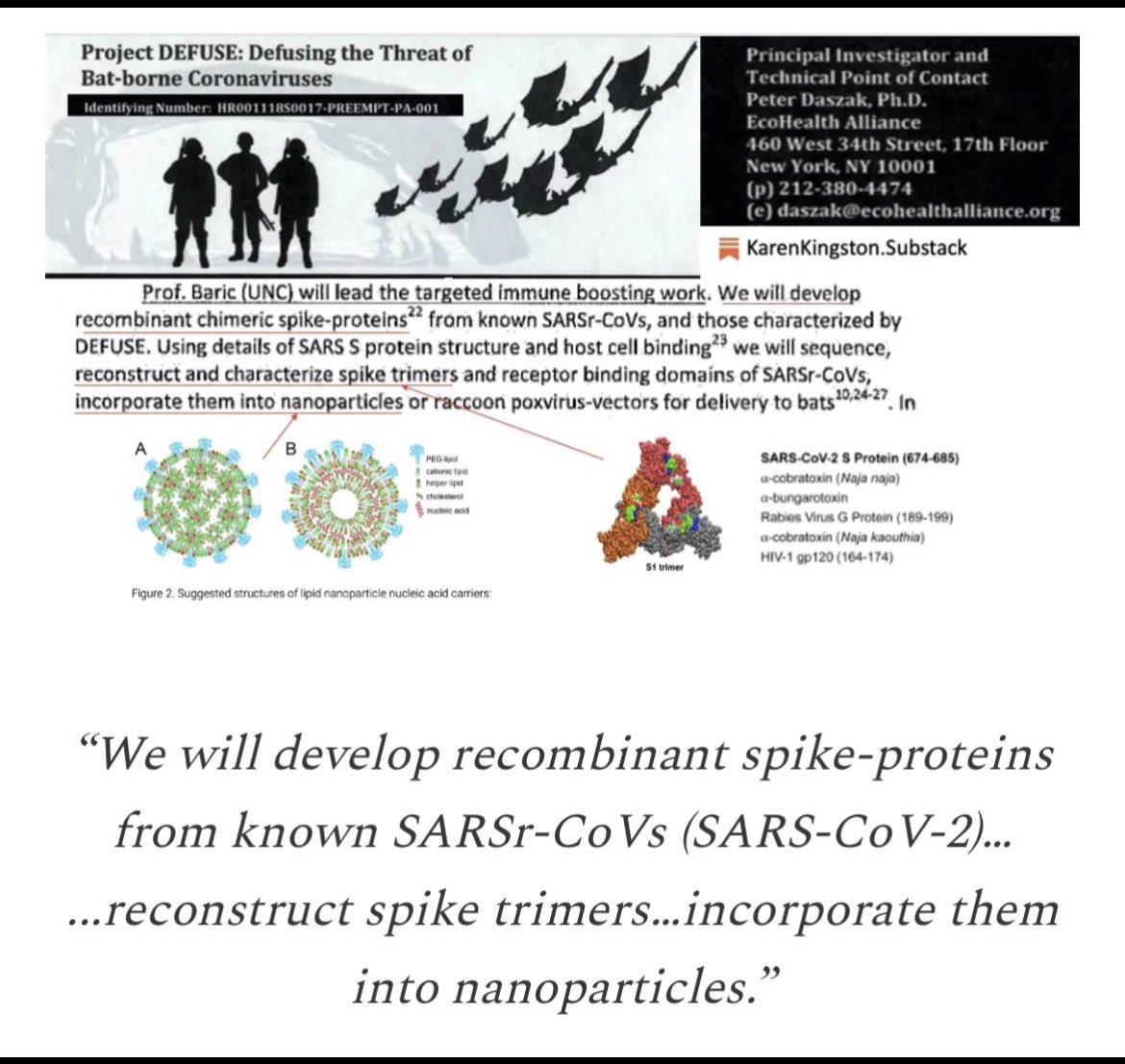 Per EcoHealth Alliance, COVID-19 is a pre-planned global bioweapon attack that used aerosolized nanoparticle 'vaccine-bioweapons', but was portrayed as a 'viral' pandemic by US and global media karenkingston.substack.com/p/what-happene…