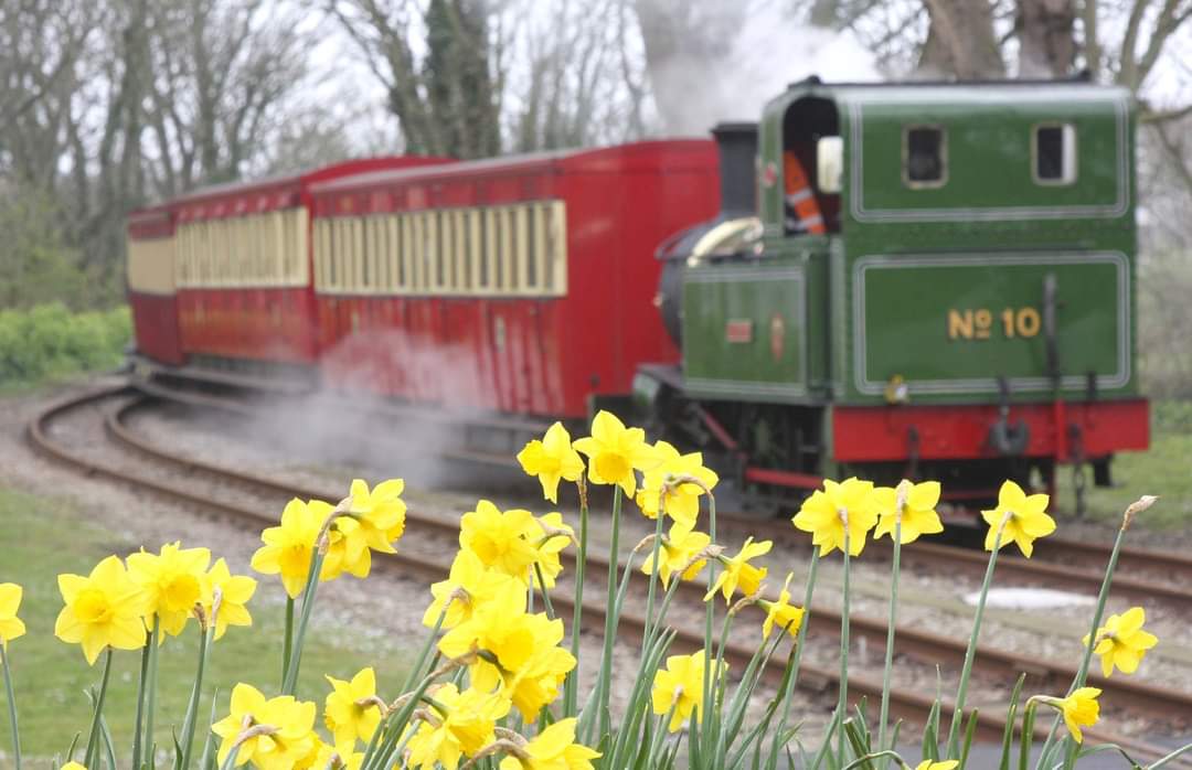 No.10 𝘎.𝘏. 𝘞𝘰𝘰𝘥 of 1905 arriving with a springtime train from the south; the railway is running today and our gift shop is open #iomrailway #heritage #steam #nostalgia #greatphoto #Castletown #placetobe #IsleofMan #daffodils #GHWood #BeyerPeacock #locomotive #IMR150