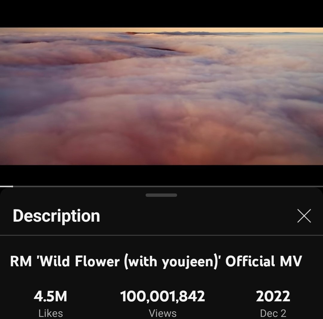 WE DID IT!!!!🎉🎉🎉🎉🎉
#WildFlowerTo100M