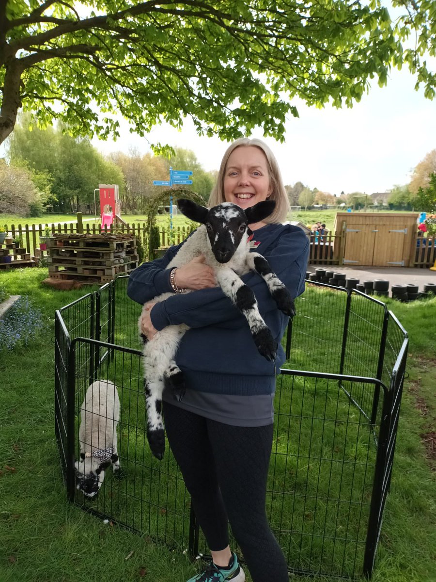We had two unusual additions to our Reception classrooms yesterday! One of our pupils lives on a farm and asked if he could bring in lambs.🐑 The children loved feeding and playing with them. The adults loved having a cuddle with them too.