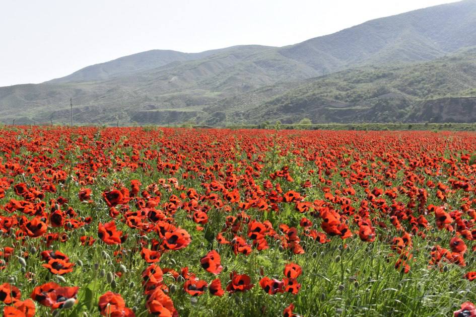 Xocalı, Azərbaycan 🇦🇿 #khojaly #Azerbaijan #PHOTOS #photographylovers