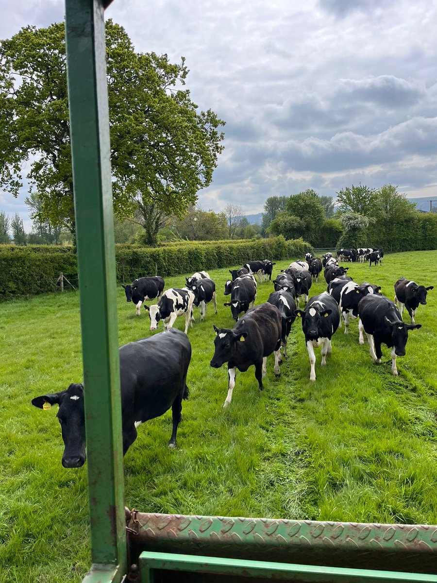 Our week ended on a high yesterday with a visit from <a href="/MaryEltonPS/">MaryEltonPrimary</a> in Clevedon to Lower Stock Farm with Liz and Steph.