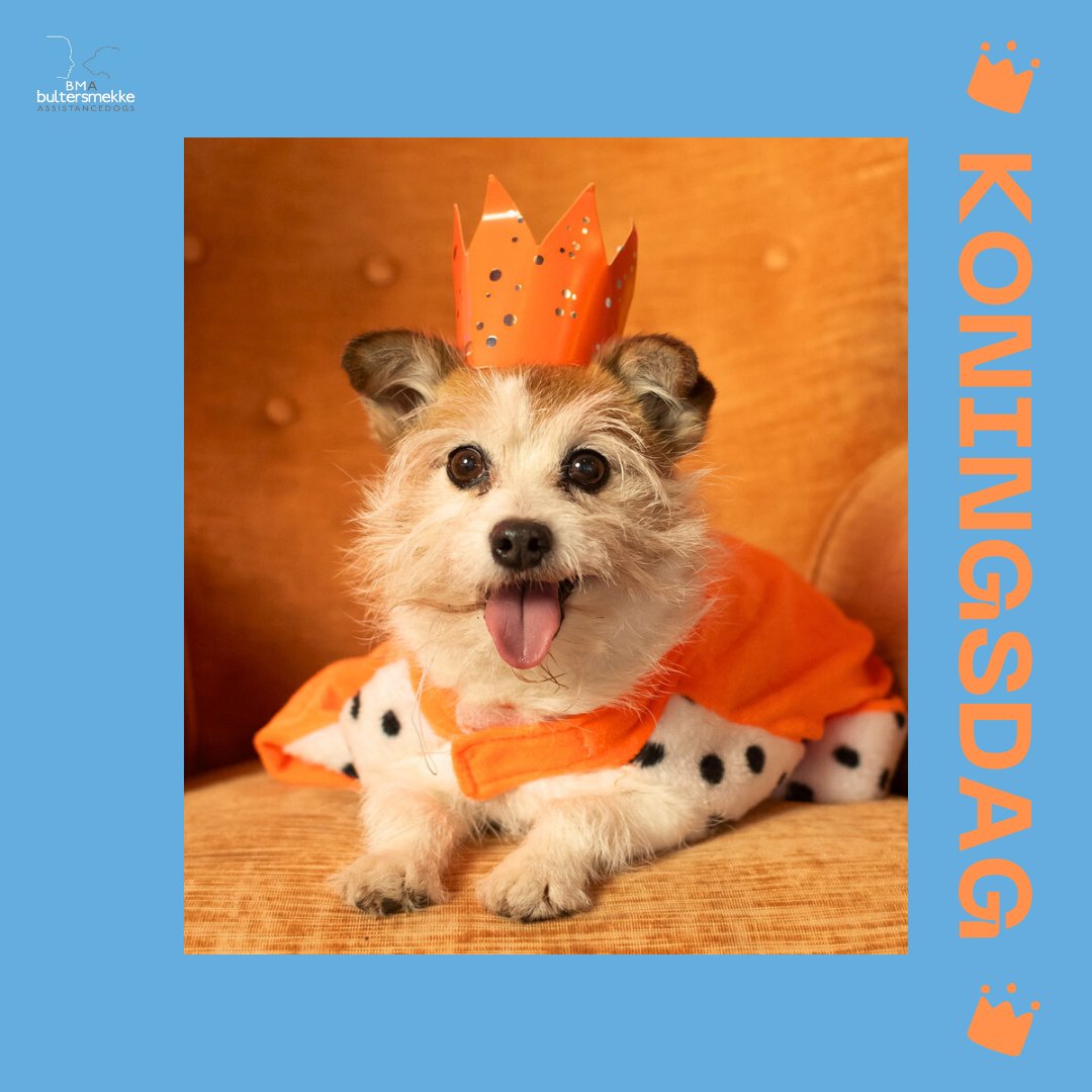 FIJNE KONINGSDAG

We wensen jou en je lieve viervoeter vandaag een hele fijne Koningsdag. Hierbij enkele tips wat je vandaag samen met je hond kunt doen: hondenkoekjes bakken in de vorm van een kroon, een oranje fotoshoot , koninklijk knutselen of met een oranje frisbee spelen.