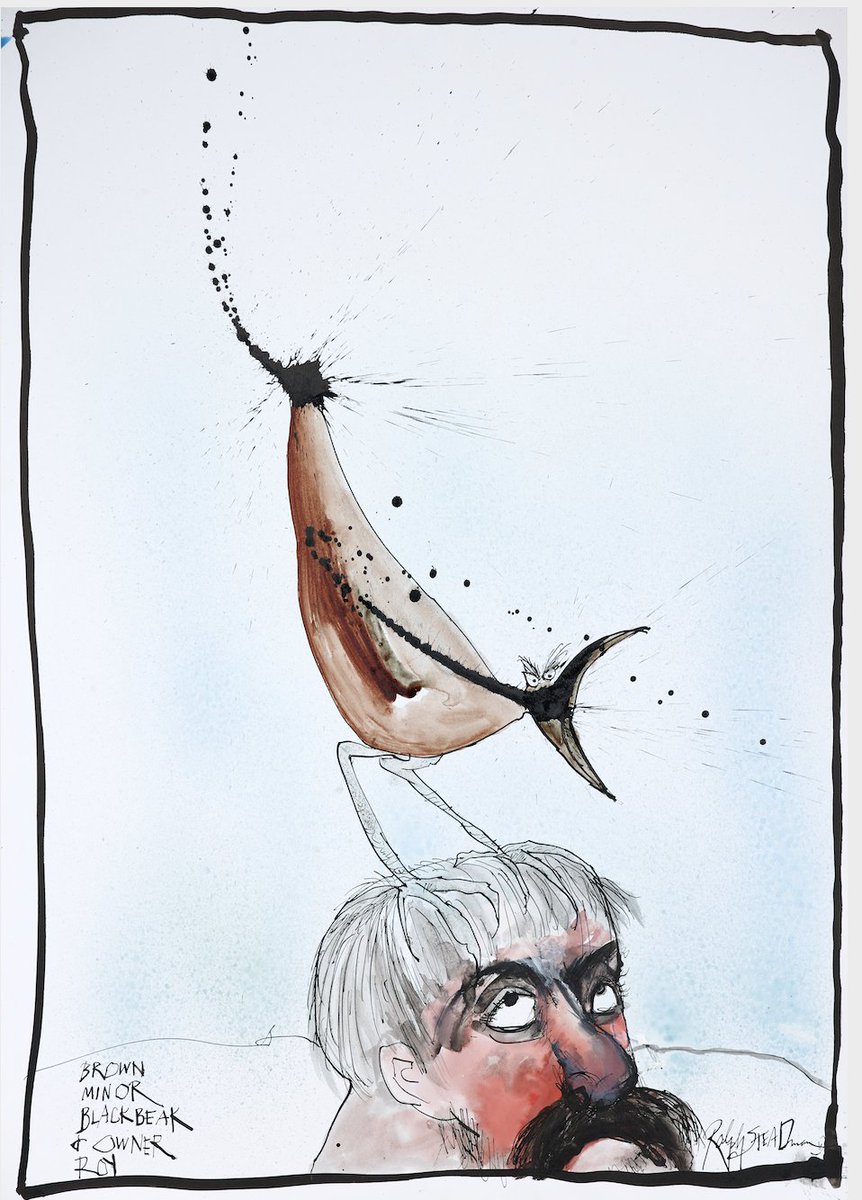 Squawk, squawk ,squawk your way into Saturday, just try not to crap an anyone's head... #GoBirdingDay #RalphSteadman #Illustration