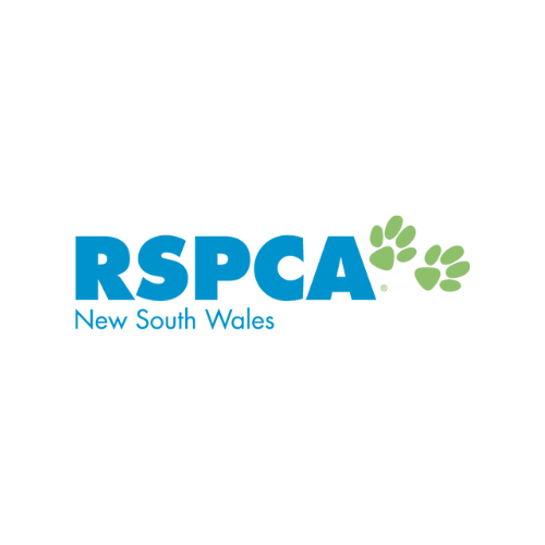 Job Opportunity

Animal Care Officer (Animal Attendant- Vet Clinic) – Sydney Veterinary Hospital at RSPCA NSW; Sydney, NSW, Australia

#LoveYourVeterinaryCareer #AnimalCare #AnimalCareOfficer #AnimalAttendant #VetClinic #SydneyVeterinaryHospital #RSPCA

veterinarycareers.com.au/Jobs/animal-ca…