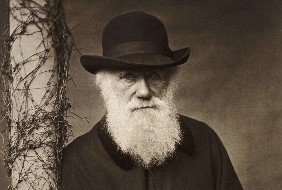 'Görmezden gelin, ses etmeyin, cevap vermeyin... Sessizlik herkesi mahveder.'  

#CharlesDarwin