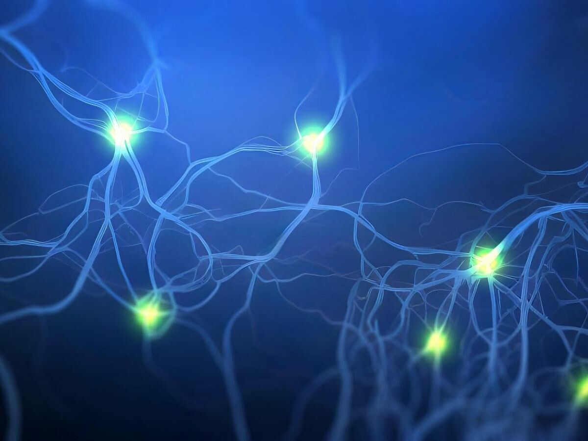 La formation de nos souvenirs casse l’ADN des neurones, et c’est une bonne chose  ! 👉 l.sciencesetavenir.fr/tCf