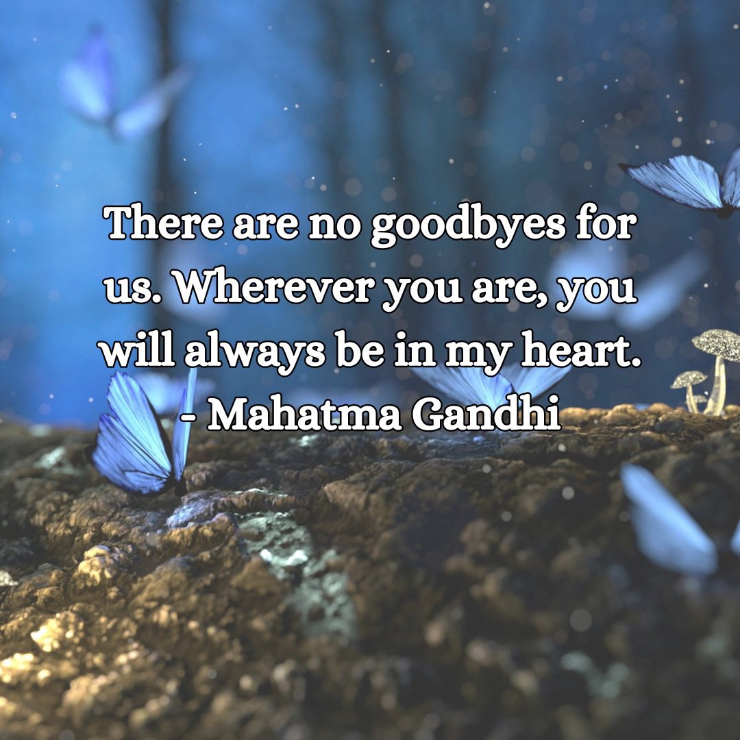 #mahatmagandhiquote #mahatmagandhiquotes #griefquotes #lostedlovedones #nogoodbyes #alwaysinmyheart #transcendinggrief #grievingprocess #curiousaboutspirit #curiousaboutspirituality #butterflysign #bluebutterfly