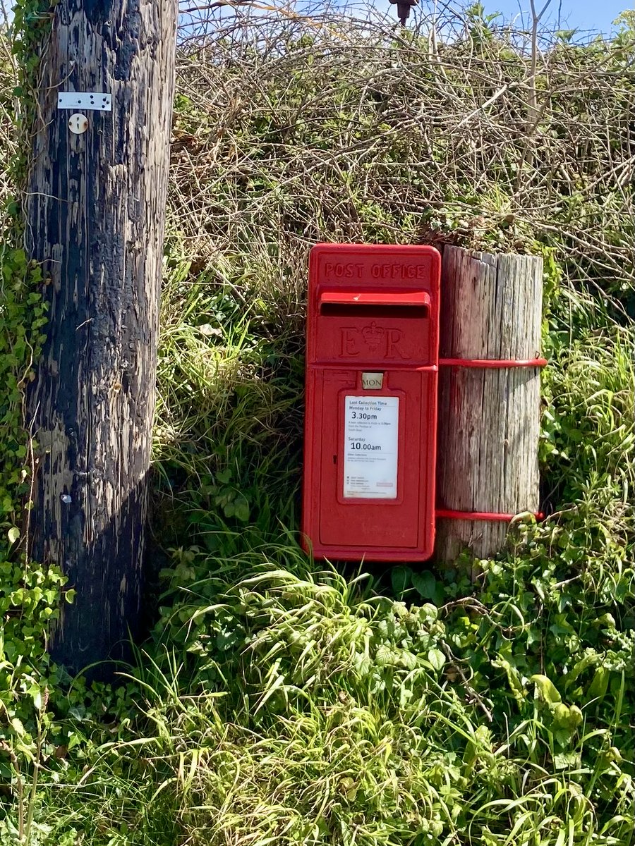 Lurking in a hedge near Treyarnon Bay, Cornwall
#PostboxSaturday