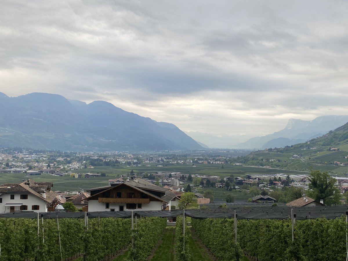 Fensterblick. Heute ist es etwas bewölkt. #Südtirol