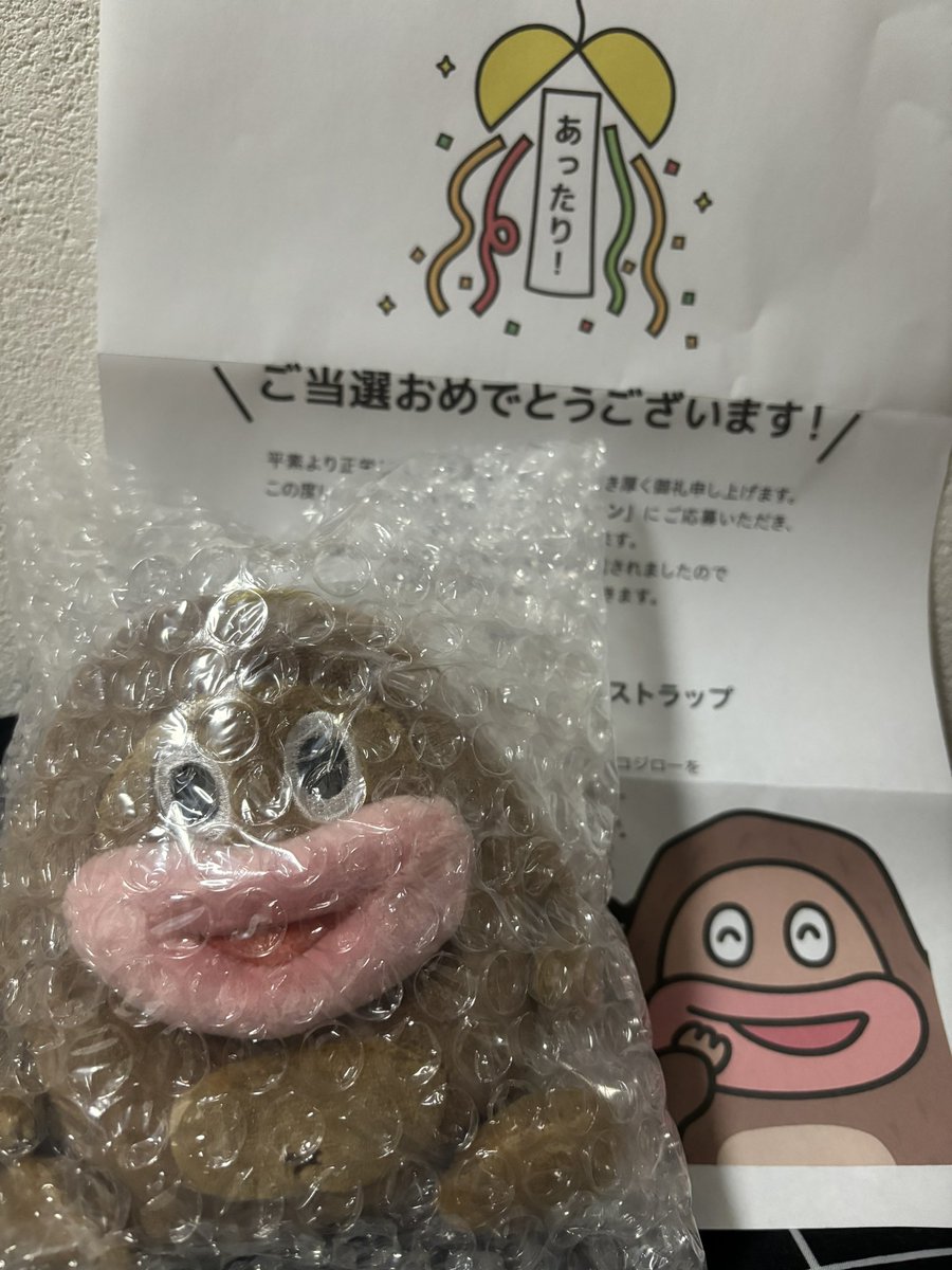 @chocojiro0326 
我が家にチョコジローちゃんがやってきたー！
プチプチに包まれたのがなんかかわいかったんでそのまま撮らせていただいた📸(心なしか早く出せよと聞こえるw)いろんなとこに連れて行きたい！
正栄デリシィ様、ありがとうございます🙇‍♀️
#サク山チョコ次郎 #心がほぐれるチョコビスケット