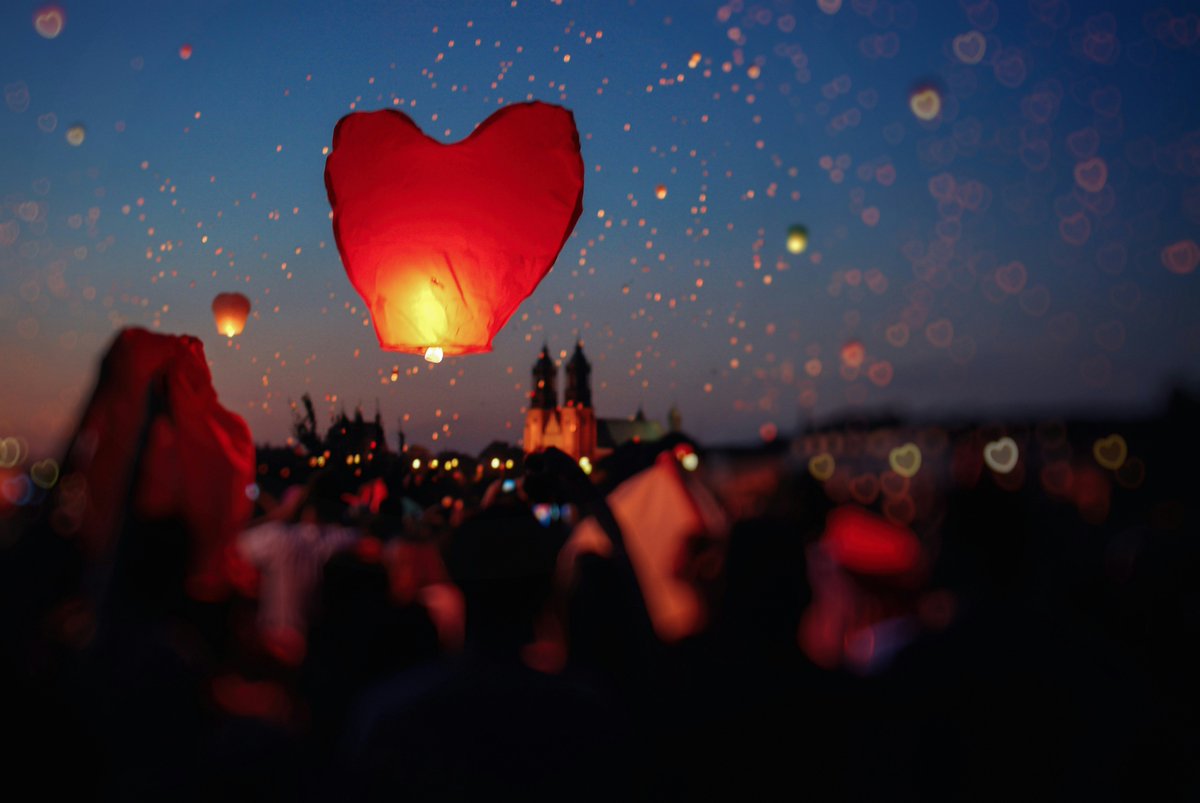 'Love is merely the beginning.' - Zahra Daripour - 📷 Photo credit: Erik Witsoe (@ewitsoe) on @unsplash